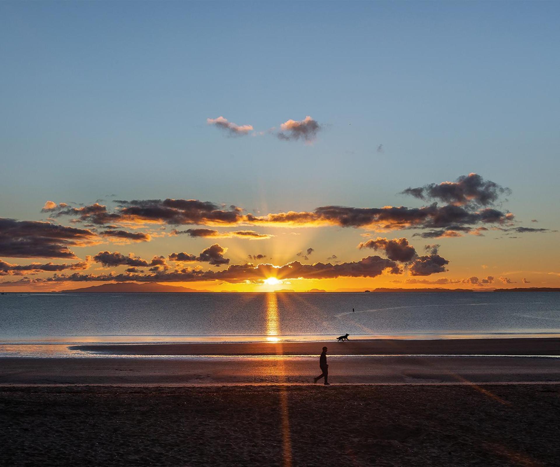 7Br 3Bh Beach Escape. 2 Min To Browns Bay Beach Auckland Eksteriør bilde